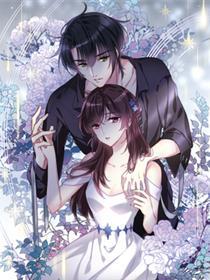 我的命运之书·飒