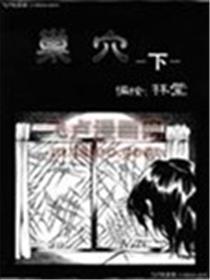 巢穴