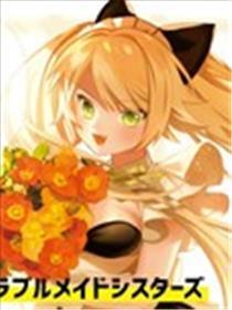 麻烦不断的女仆们