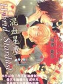 Hybrid Stardust~混血星尘~
