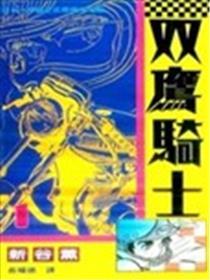 双鹰骑士