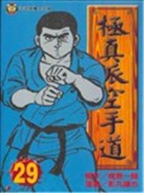 极真派空手道
