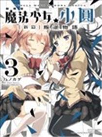 魔法少女小圆 [新篇] 叛逆的物语