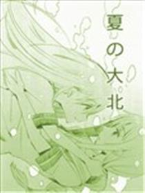 夏之大北