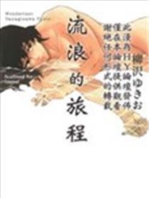 流浪的旅程