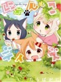 猫咪日常