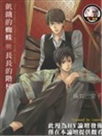 饥饿的蜘蛛与长长的阶梯