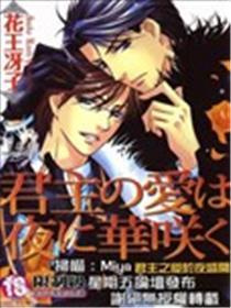 君主之爱于夜盛开