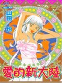 爱的新大陆