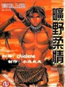 旷野柔情