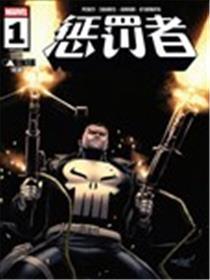 惩罚者V15