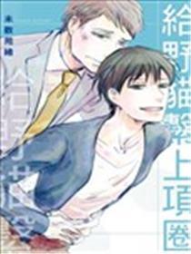 给野猫系上项圈