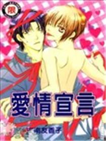 爱情宣言