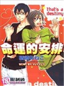 命运的安排