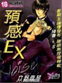 预感EX noise
