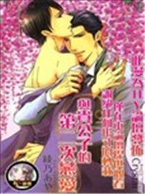 与贵公子的第二次恋爱