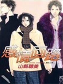 感情回路