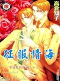 征服情海