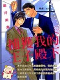 捕获我的王子殿下