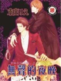 无声的夜晚