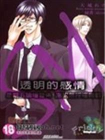 透明的感情