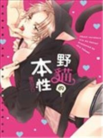 野猫的本性