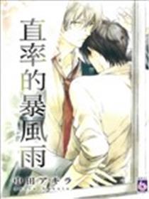 直率的暴风雨