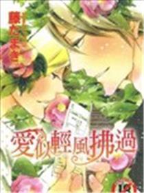 爱似清风拂过