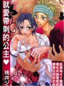 就爱带刺的公主