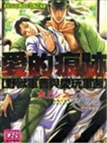 爱的痕迹~野兽军曹与爱玩军医
