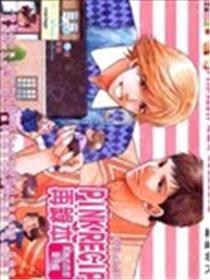 PINK RECIP再录本