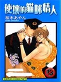 使坏的猫咪情人