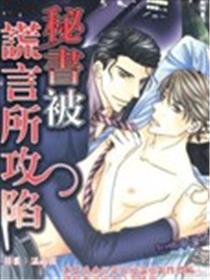 秘书被谎言所攻陷