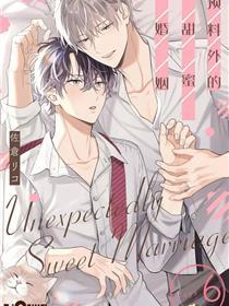 预料外的甜蜜婚姻