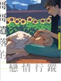 哥哥遗落的恋情行踪