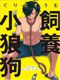 饲养小狼狗