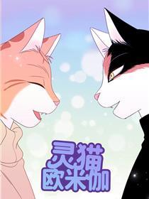 灵猫欧米伽