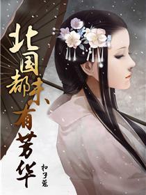 北国都未有芳华