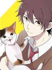 三花猫猫部