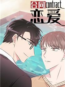 合同恋爱