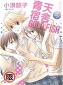 青天宿舍GOLD FISH