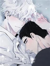 死限情书