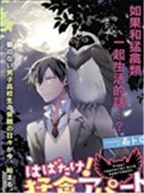 振翅高飞吧！猛禽公寓