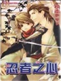 忍者之心