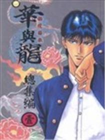 华与龙总集编