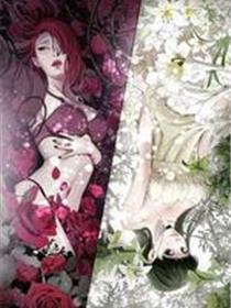 禁断的欺诈之夜（一、二季）