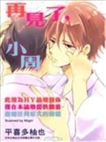 再见了，小周