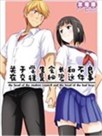 关于学生会长和不良交往是秘密这件事