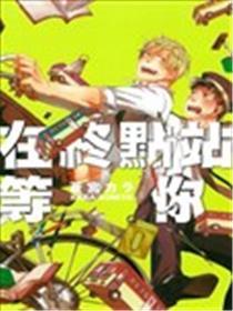 在终点站等你