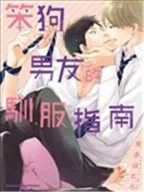 笨狗男友的驯服指南